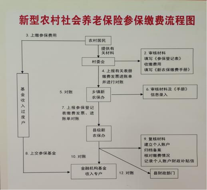 鞍山农村医保和社保有什么区别(农村医保跟社保的区别)